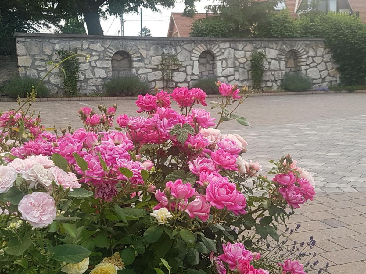 Huber Panzio Bed & Breakfast Fertőrákos Bagian luar foto