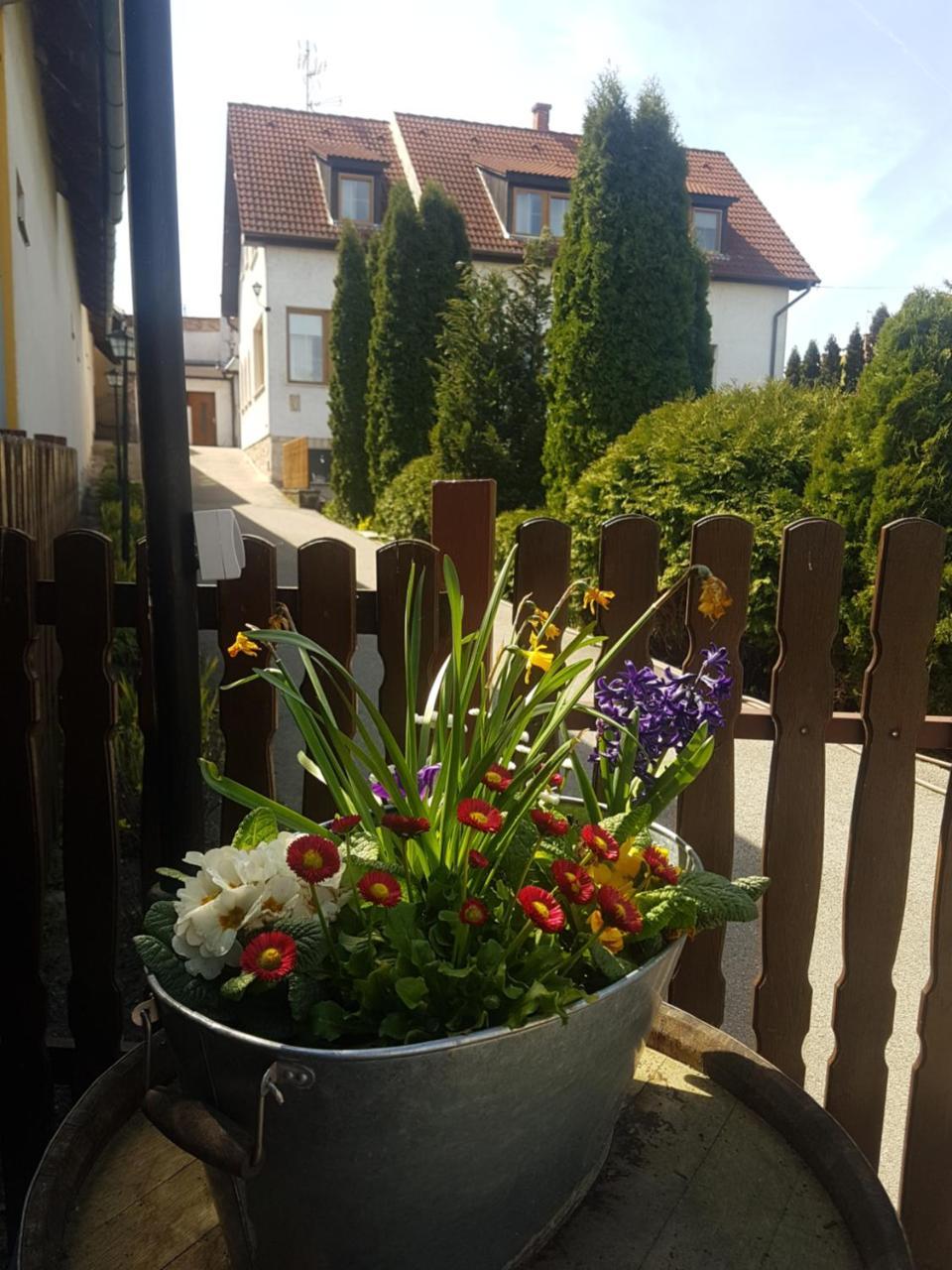 Huber Panzio Bed & Breakfast Fertőrákos Bagian luar foto